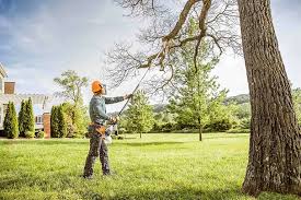 Best Commercial Tree Services  in Dayton, WA