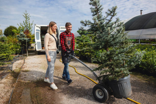 Lawn Watering Services in Dayton, WA